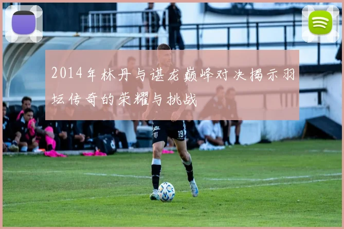 2014年林丹与谌龙巅峰对决揭示羽坛传奇的荣耀与挑战